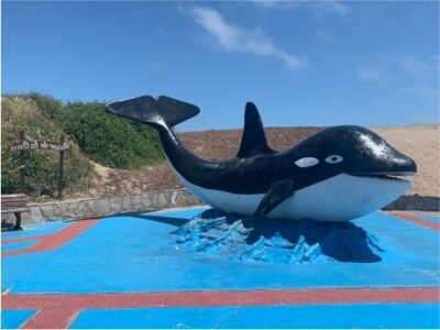paseo_de_la-orca-orky_1