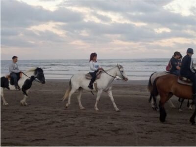 los_caballos_de-hugo_0